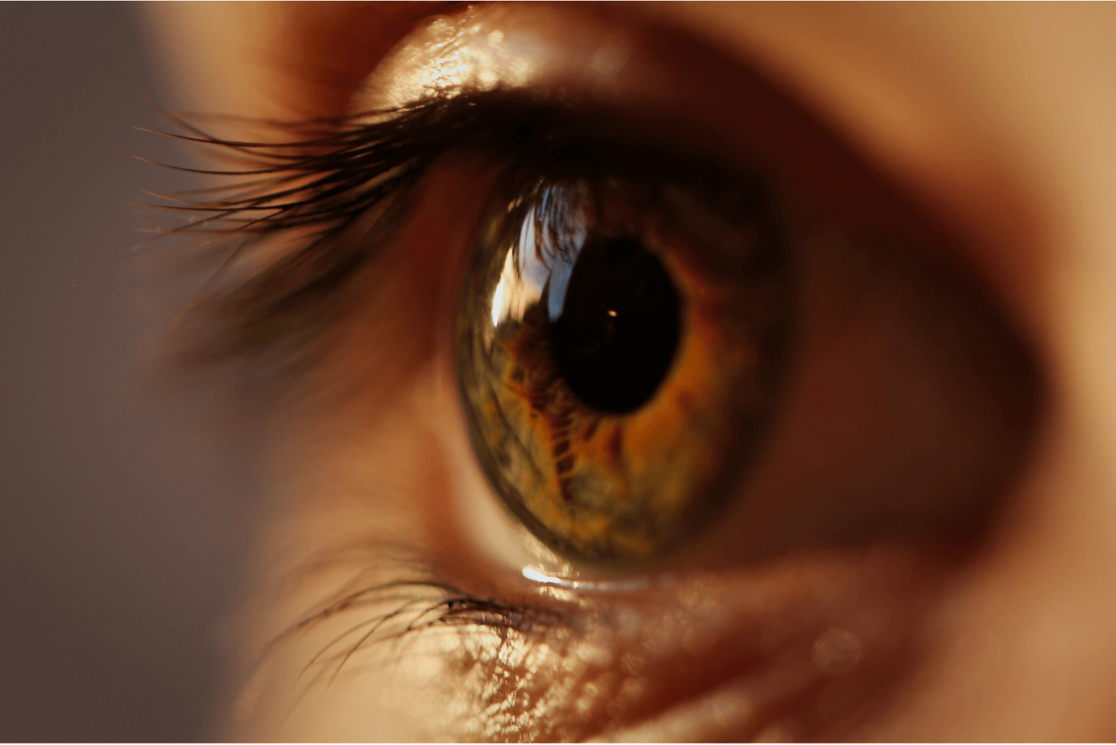 Akshay Netra - Eye Image